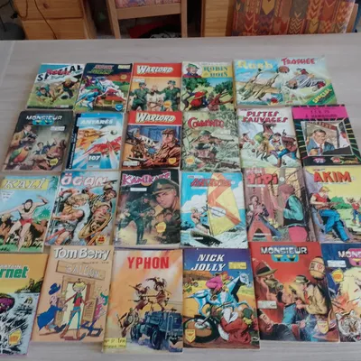 Lot de 24 BD de poche, divers (1)